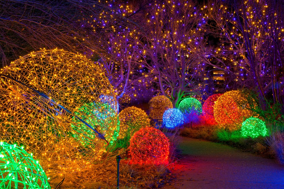 christmas lights to see